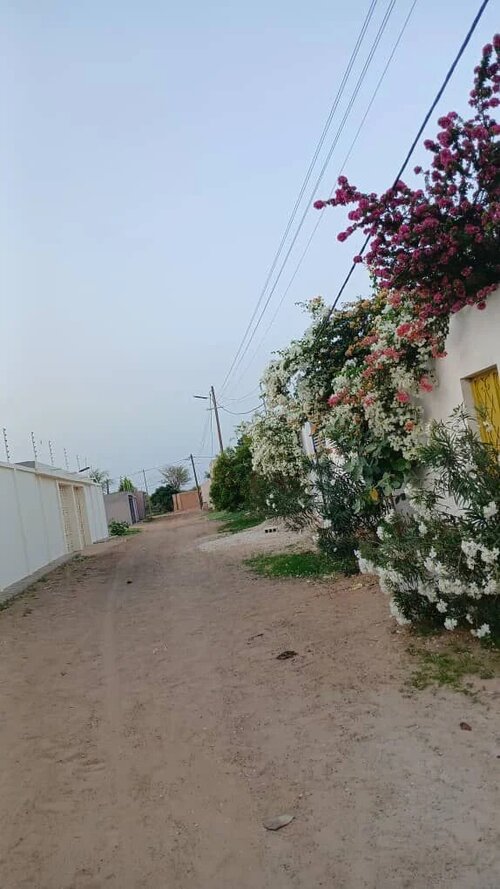 chez-mina-08